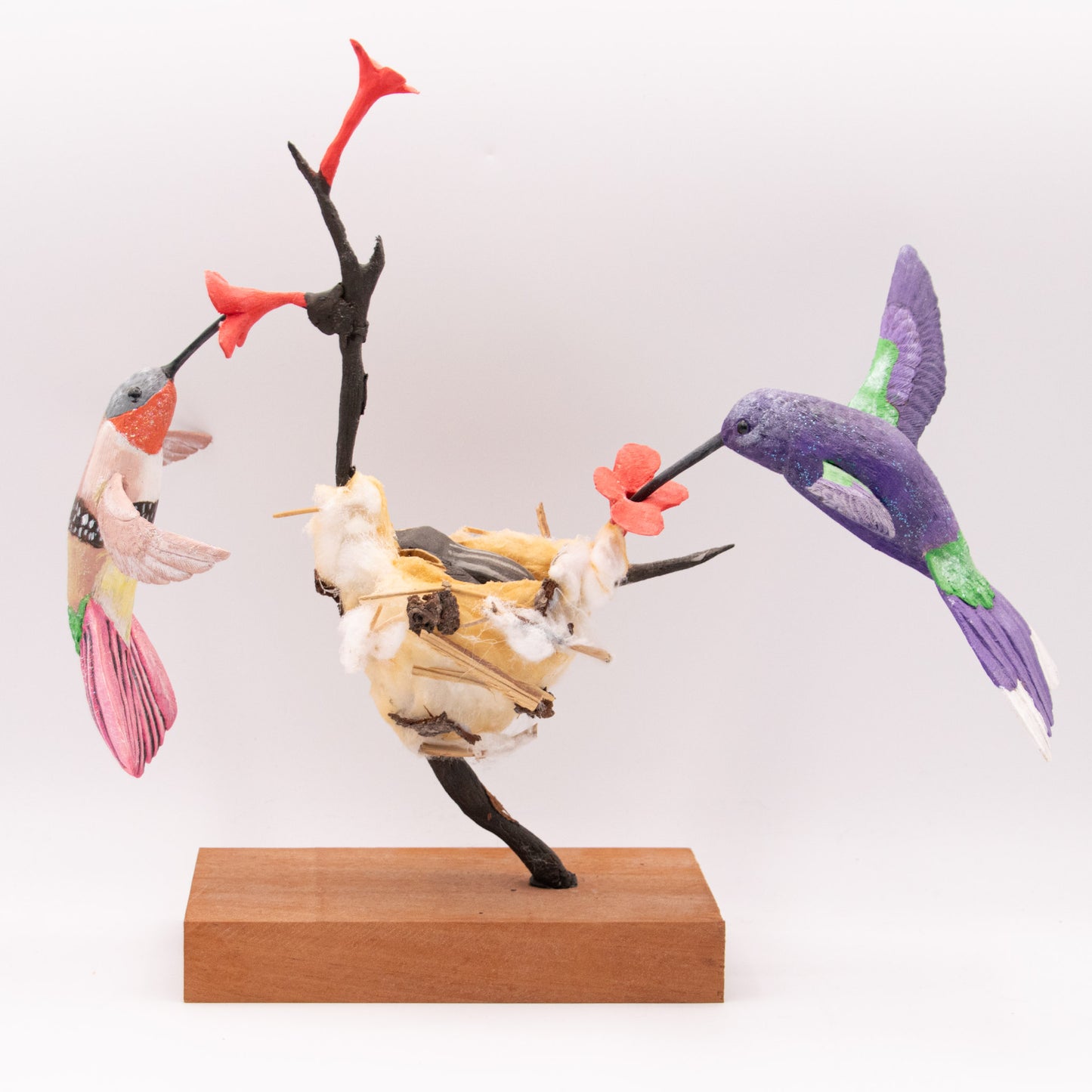 Les deux petits Colibris