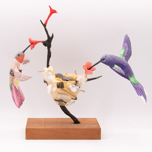 Les deux petits Colibris