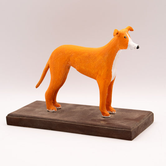 Lévrier orange