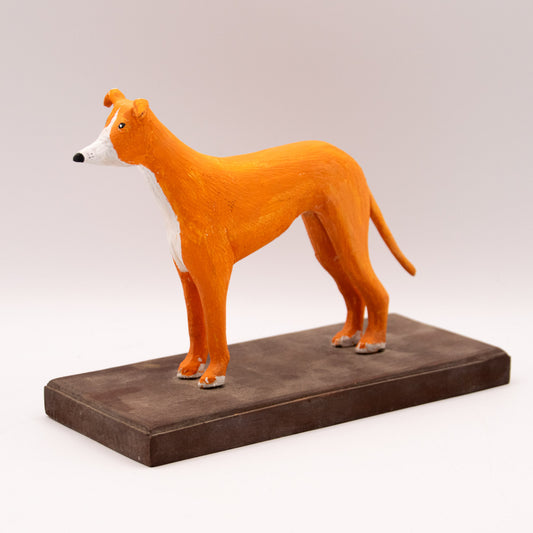 Lévrier orange