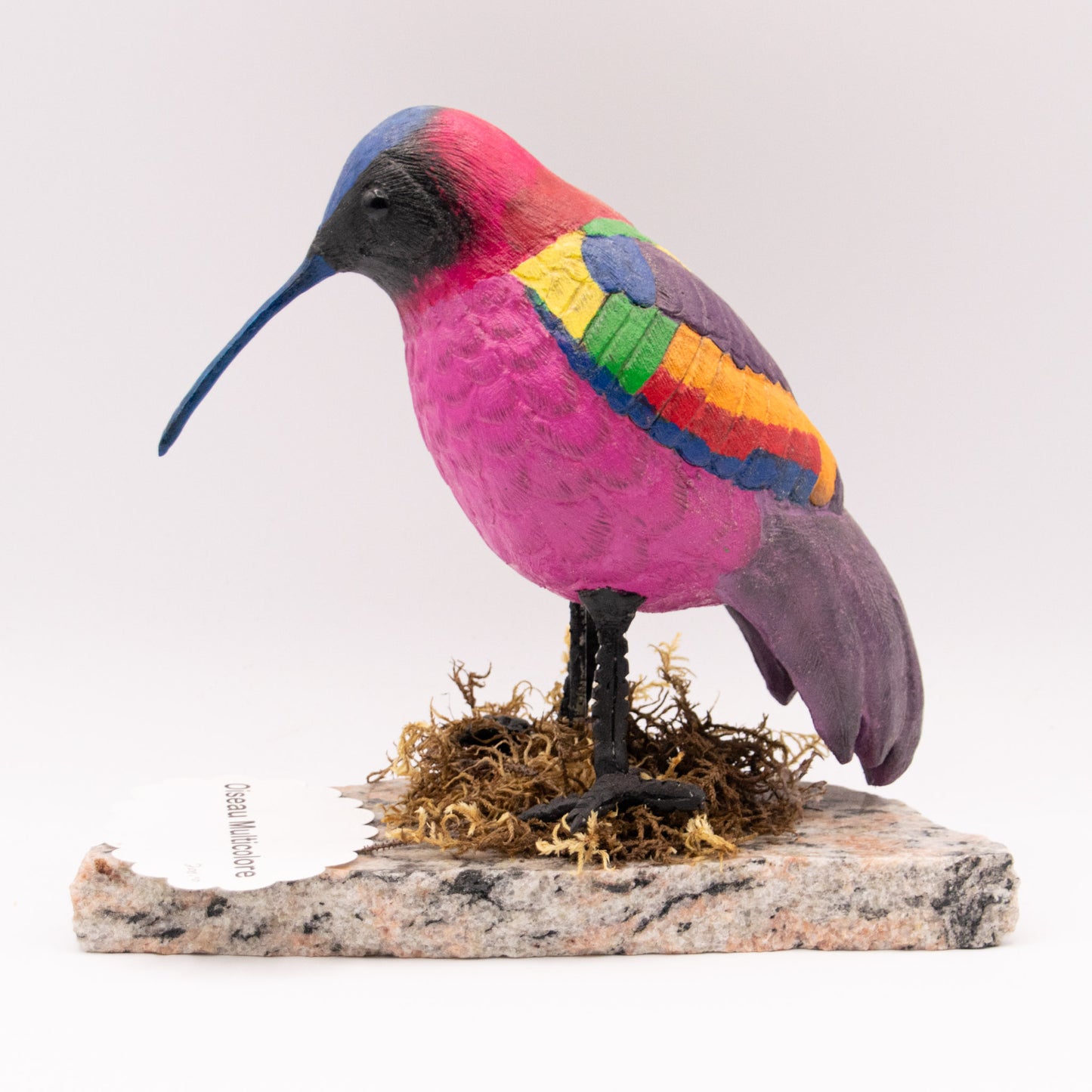 Oiseau multicolore