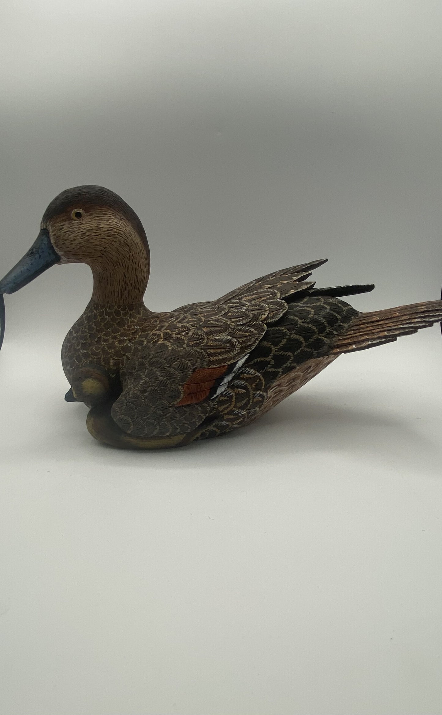 Canard brunâtre et son bébé