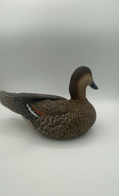 Canard brunâtre et son bébé