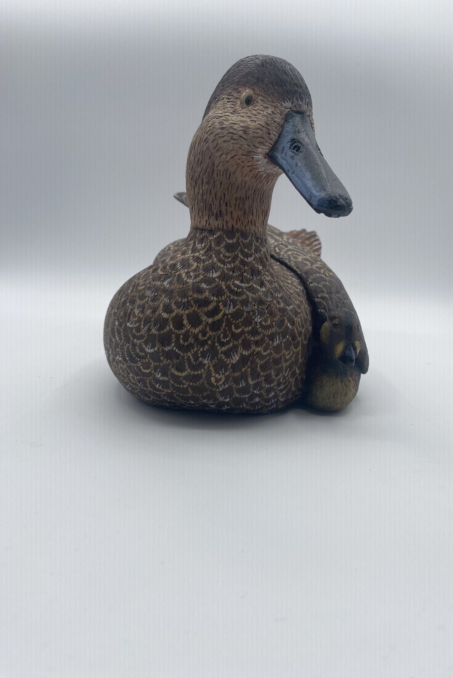 Canard brunâtre et son bébé