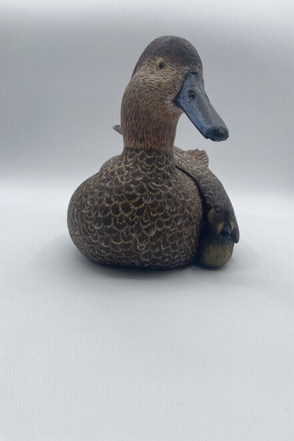 Canard brunâtre et son bébé