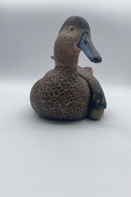 Le canard brunâtre et son bébé