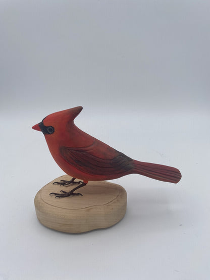 Cardinal rouge
