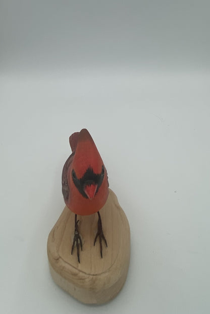 Cardinal rouge