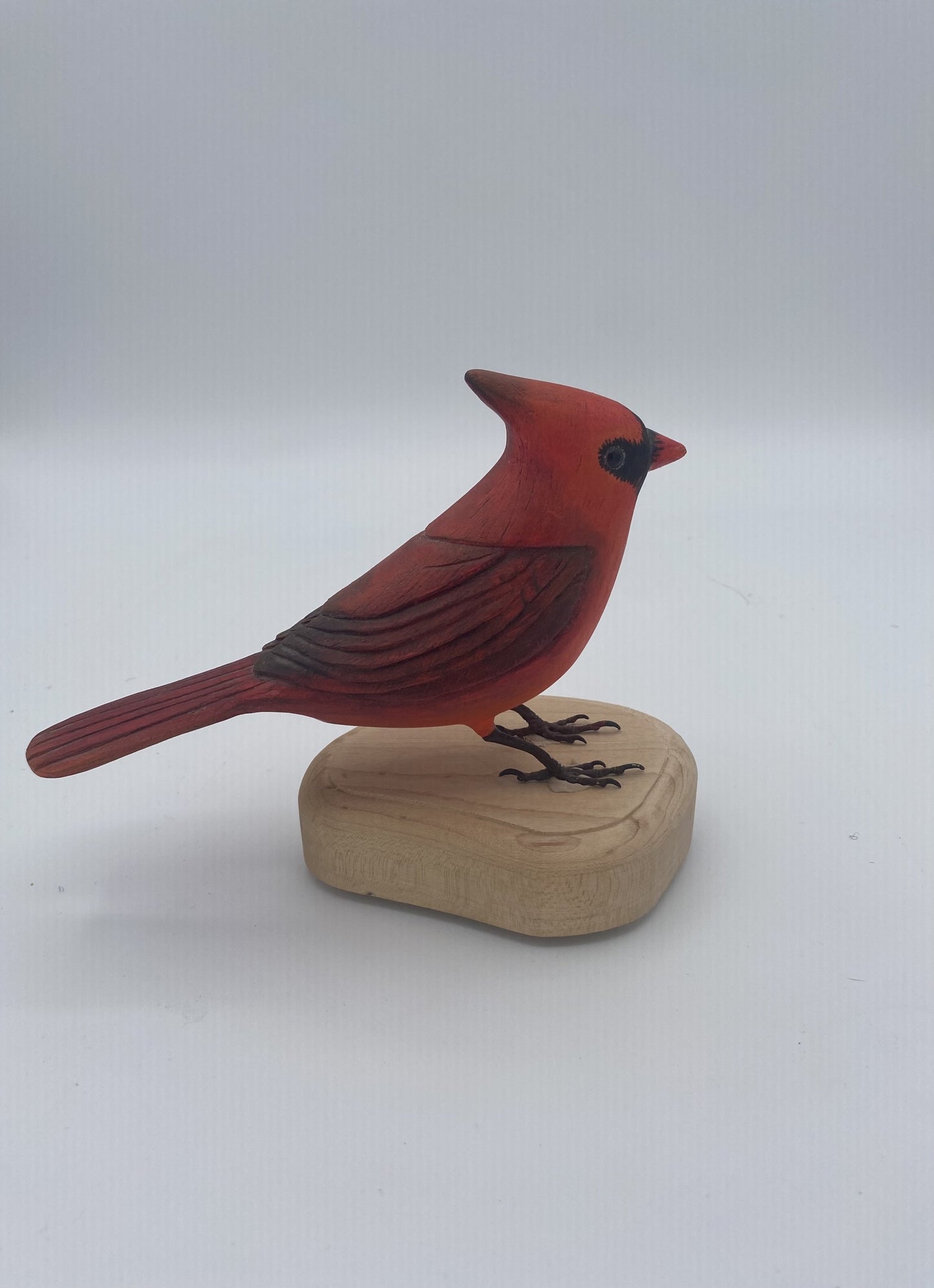 Cardinal rouge