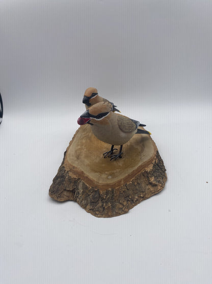 couple d'oiseaux sur rondin de bois