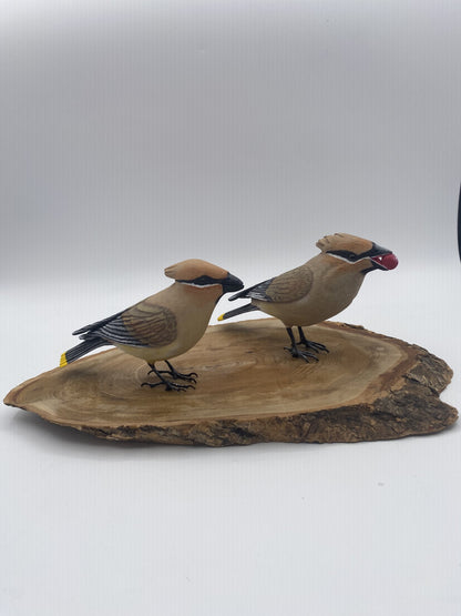 couple d'oiseaux sur rondin de bois