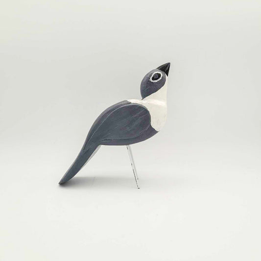 Oiseau gris et blanc